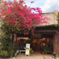 壺屋やちむん通りの写真・動画_image_262867