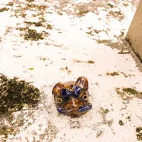 壺屋やちむん通りの写真・動画_image_262868