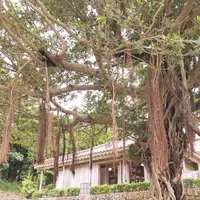 金城町石畳道の写真・動画_image_262876