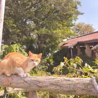 南窯の写真・動画_image_262911