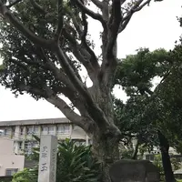 玉陵の写真・動画_image_262940