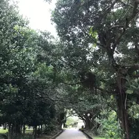 玉陵の写真・動画_image_262943