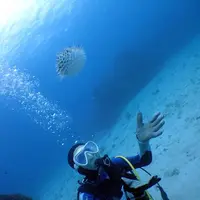 慶良間諸島周辺の写真・動画_image_262959