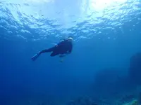 慶良間諸島周辺の写真・動画_image_262960