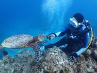 慶良間諸島周辺の写真・動画_image_262962