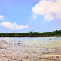 奥武島の写真・動画_image_262964