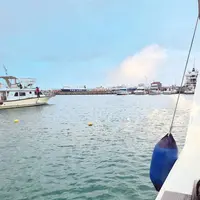 泊いゆまちの写真・動画_image_262969