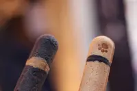 やなか しっぽやの写真・動画_image_263024