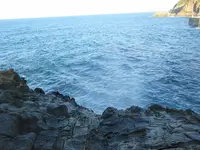 龍宮の潮吹の写真・動画_image_263167