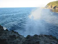 龍宮の潮吹の写真・動画_image_263168