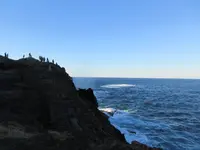 龍宮の潮吹の写真・動画_image_263169