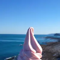 道の駅 フェニックスの写真・動画_image_263216