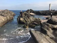 安房崎灯台の写真・動画_image_263369