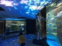 のとじま水族館　の写真・動画_image_263666