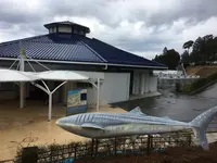 のとじま水族館　の写真・動画_image_263667