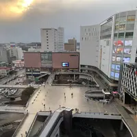 ホテル テラス ザ ガーデン水戸の写真・動画_image_263919