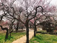 弘道館公園の写真・動画_image_263928