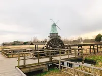霞ヶ浦総合公園の写真・動画_image_263930