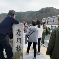 渡月橋の写真・動画_image_263955