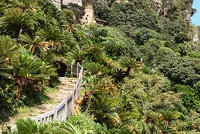 御崎神社の写真・動画_image_263964