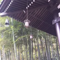 長谷寺の写真・動画_image_264129