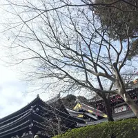 長谷寺の写真・動画_image_264130