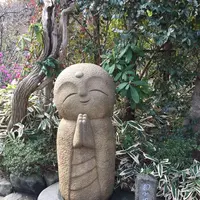 長谷寺の写真・動画_image_264131