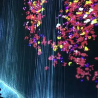 【閉業】森ビルデジタルアートミュージアム：エプソン チームラボボーダレス（MORI Building Digital Art Museum: EPSON teamLab Borderless）の写真・動画_image_264174
