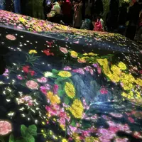 【閉業】森ビルデジタルアートミュージアム：エプソン チームラボボーダレス（MORI Building Digital Art Museum: EPSON teamLab Borderless）の写真・動画_image_264175