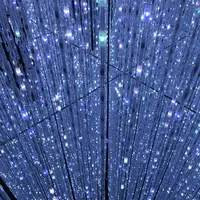 【閉業】森ビルデジタルアートミュージアム：エプソン チームラボボーダレス（MORI Building Digital Art Museum: EPSON teamLab Borderless）の写真・動画_image_264177