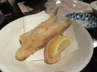 うまいもん酒場 とらっ家の写真・動画_image_264369