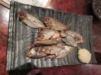 うまいもん酒場 とらっ家の写真・動画_image_264371