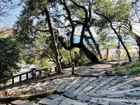 久能山東照宮の写真・動画_image_264596