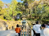 久能山東照宮の写真・動画_image_264599