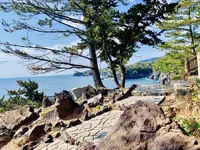 城ヶ崎海岸の写真・動画_image_264610