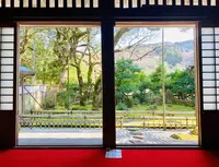 大安禅寺の写真・動画_image_264941