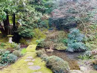 大安禅寺の写真・動画_image_264942