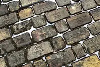 ペーパームーンの写真・動画_image_265165