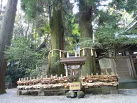 高千穂神社の写真・動画_image_265185