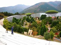 養老天命反転地の写真・動画_image_265403