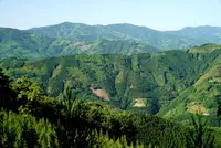 諸塚村の写真・動画_image_265495
