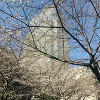 マンダリンオリエンタル東京の写真・動画_image_265543