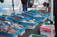 館鼻岸壁朝市の写真・動画_image_265578