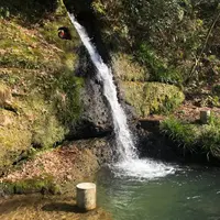 鶴仙渓　川床の写真・動画_image_265656