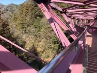 あやとりはしの写真・動画_image_265658