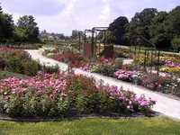 Rozentuin Coloma (Agentschap voor Natuur en Bos)の写真・動画_image_265803