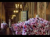 グランプラスの写真・動画_image_265805