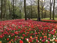 グロート・ベイハールデン城の写真・動画_image_265808