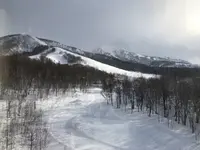 ONE NISEKO RESORT TOWERS ワン・ニセコ・リゾート・タワーズの写真・動画_image_265873