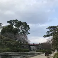 小田原城の写真・動画_image_266136